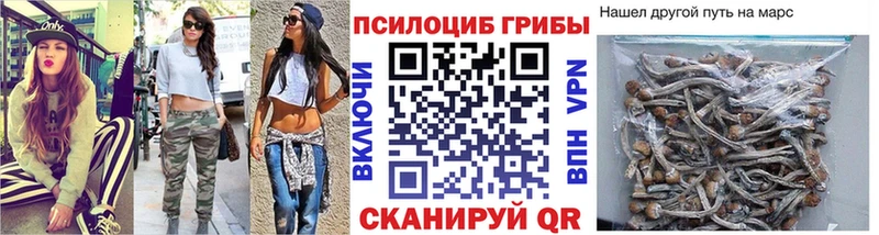 дарк нет наркотические препараты  Усть-Катав  Галлюциногенные грибы GOLDEN TEACHER  OMG вход 